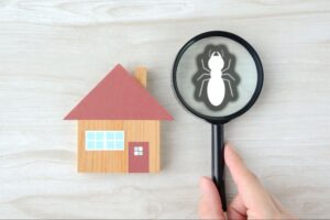 Jenner Pest Control